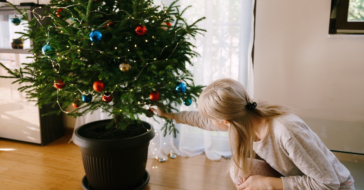 9 Ways to Have an Eco-Friendly Holiday Season